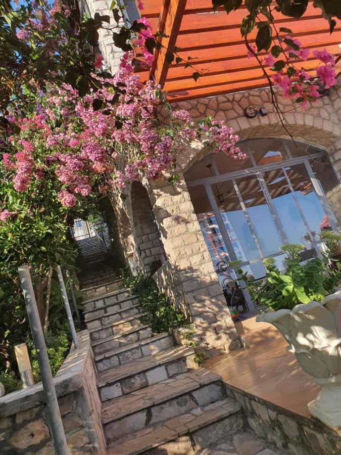Апартаменти Vila Vito Добра Вода Екстер'єр фото